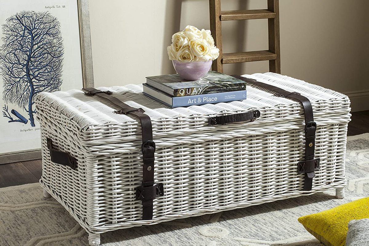 Thing To Consider When Buying Navarro Rattan Trunk By Valerie