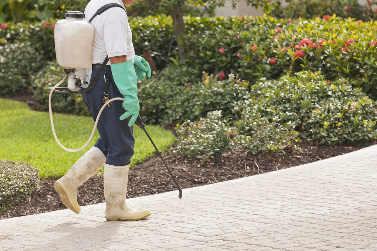 What Are The Different Types Of Landscaping Supplies Herbicides
